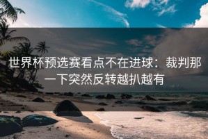 世界杯预选赛看点不在进球：裁判那一下突然反转越扒越有
