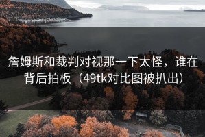 詹姆斯和裁判对视那一下太怪，谁在背后拍板（49tk对比图被扒出）