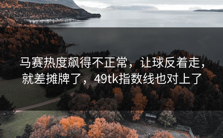 马赛热度飙得不正常，让球反着走，就差摊牌了，49tk指数线也对上了
