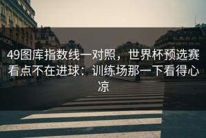 49图库指数线一对照，世界杯预选赛看点不在进球：训练场那一下看得心凉