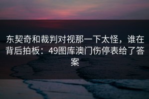 东契奇和裁判对视那一下太怪，谁在背后拍板：49图库澳门伤停表给了答案