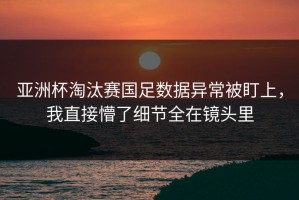 亚洲杯淘汰赛国足数据异常被盯上，我直接懵了细节全在镜头里