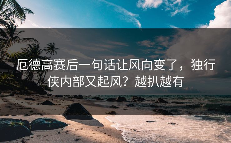 厄德高赛后一句话让风向变了，独行侠内部又起风？越扒越有